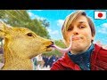 FUI NO NARA PARK NO JAPÃO ! ! !