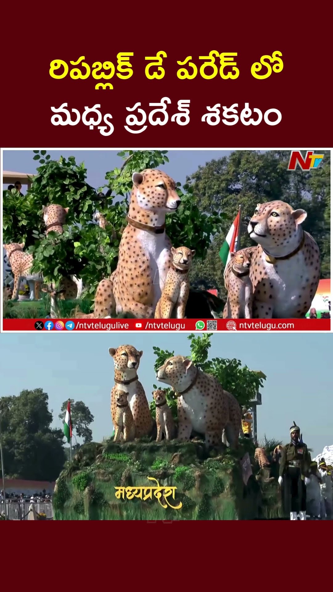 Madhya Pradesh Tableau | Republic Day Parade 2025 | PM Modi | Ntv