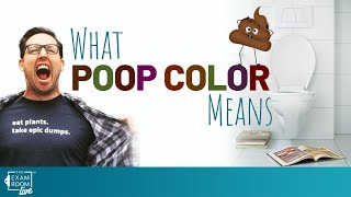 What Does Your Poop Color Mean? | Dr. Will Bulsiewicz Live Q&A