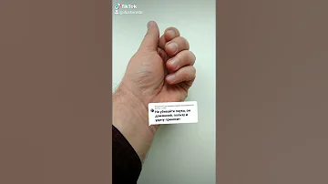 паук сенокосец
