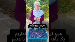 به امید روزهای سبز وطنم ایران ثبت سفارش واتس اپ تماس یا پیامک 09399954512