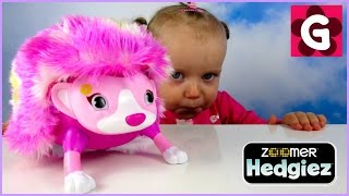 Gaby playing with NEW Zoomer Hedgie Whirl