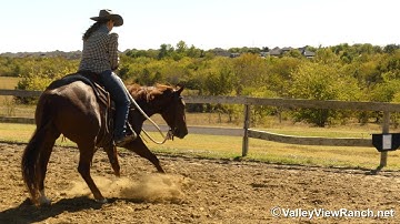 Peekin At Hugh***For info, price, etc., go to our website: ValleyViewRanch.net***