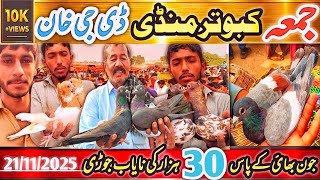 Kabootar Mandi | DGhKhan Latest Update 314 Vlog | DG Khan Kabutar Mandi | Jon Bahi Nayab SpeciaL