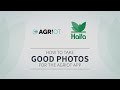 Haifa AgrIOT – a novel application to support precision agriculture