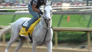 Hansen on track at Churchill Downs, 5/3/2012 morning