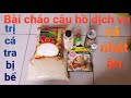 BÀI MỒI CHÁO CÂU CÁ TRA HỒ DỊCH VỤ TRỊ CÁ BỂ, CÁ NHÁT ĂN