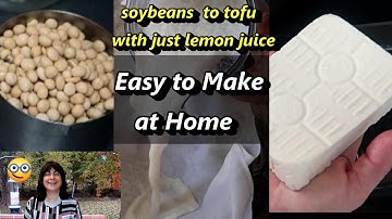 EASY Homemade Tofu Using 3 Ingredients: Soybeans, Lemon Juice, and Water - Delicious!