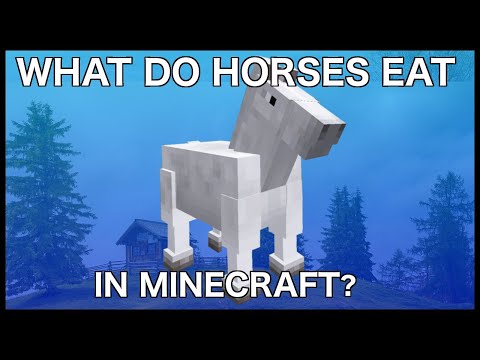 וִידֵאוֹ: מה סוסים אוכלים ב Minecraft