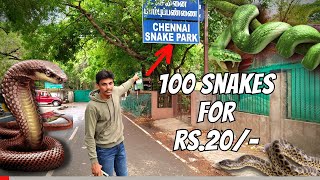 Chennai Snake Park |  Guindy | Place to visit in Chennai  | Diary of NS | Tamil