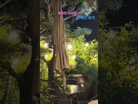 카페인초지
