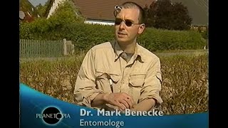 Mark Benecke: Kartoffelkäfer ?