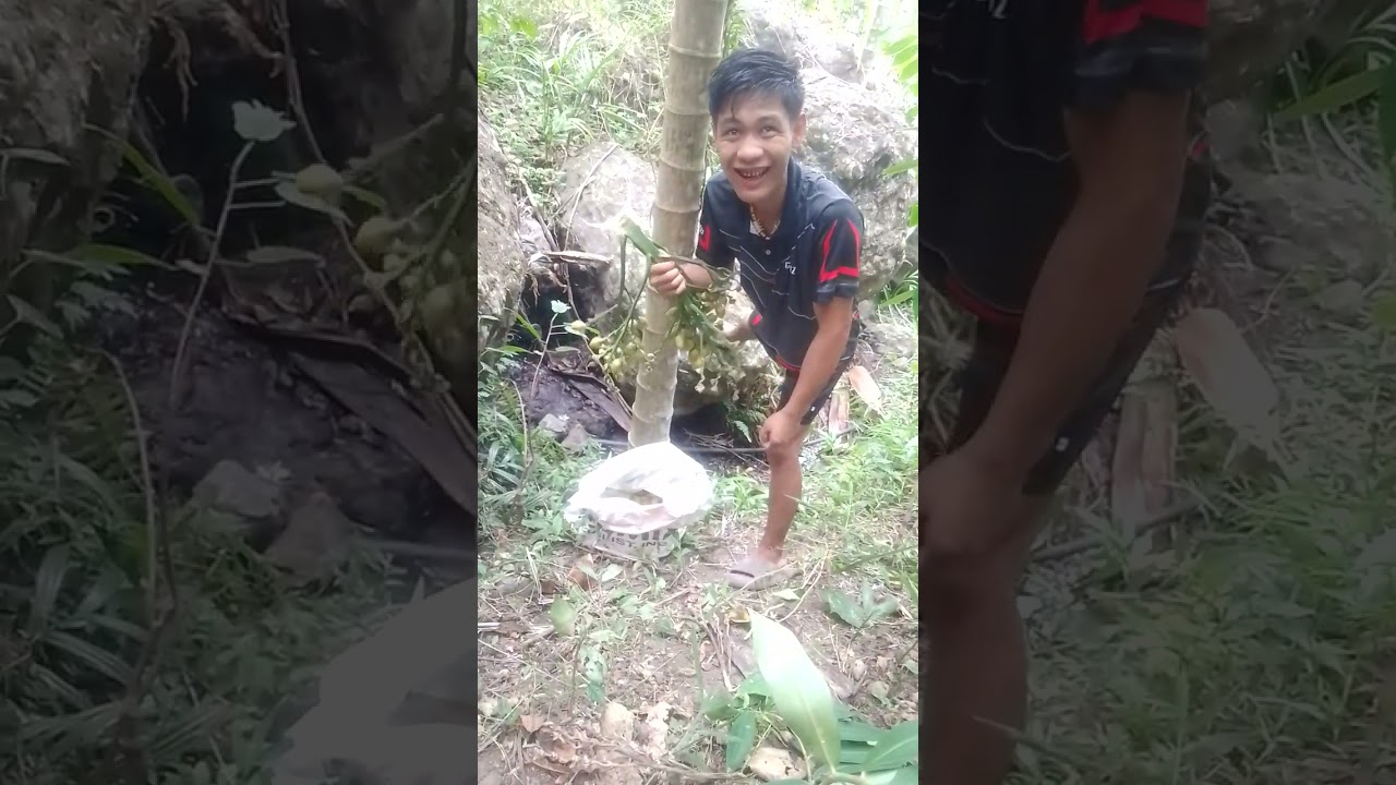 Mahal ang momma ngayon,Buti nalang Marami dito sa bundok.