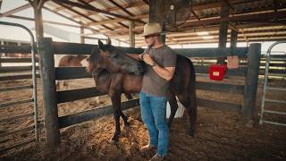 Horse Rescue! - We Adopted two new horses!