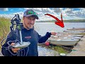 What Fish Live Under a Jetty?! (Exploring with GoPro Underwater) | Team Galant
