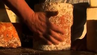Stichelton Cheese