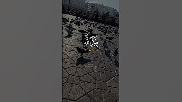 سورة الرعد آية ٢٨ القارئ عبدالرحمن مسعد