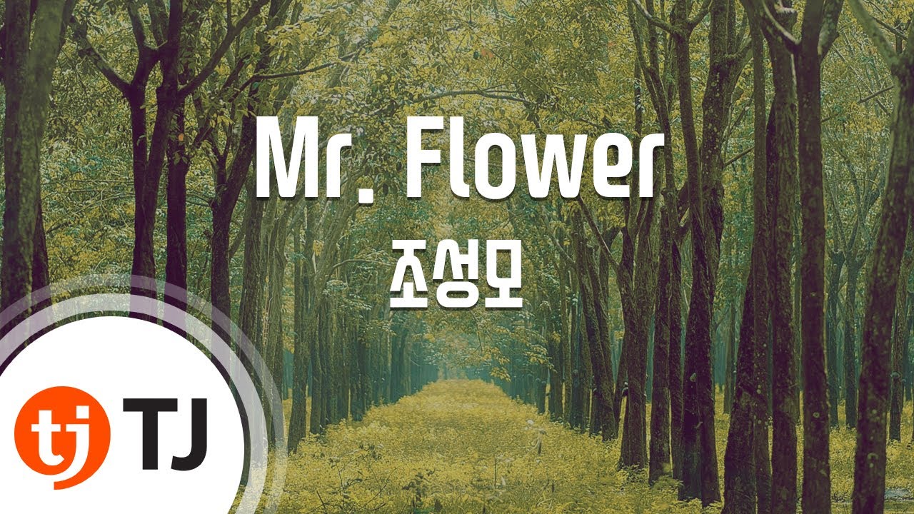 [TJ노래방] Mr. Flower - 조성모 / TJ Karaoke