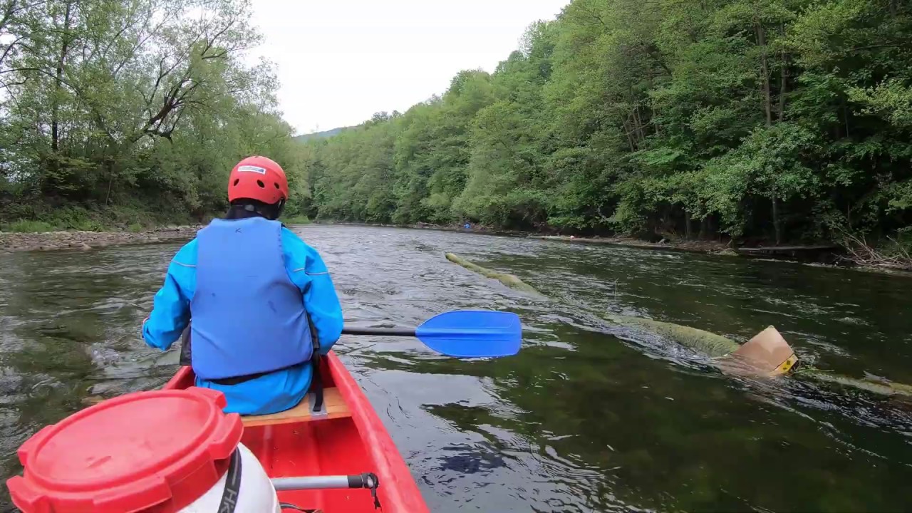 Hornád river canoeing in Košice region, Slovakia - 2,7k GoPro cinematic