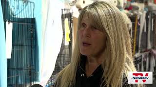 Happy Cat Nonprofit Sues Daughter Of Founder Over Sanctuary Property After Fire