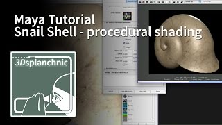 snail shell shading