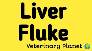 Liver Fluke treatment | Goat after Recovery | لیور فلیوک والی بکری ایک دن کے علاج سےبلکل ٹھیک ہو گئی