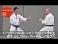 Karate Seminar with Shinji Akita in Germany, Bad Camberg 2018 - Shotokan【Akita's Karate Video】