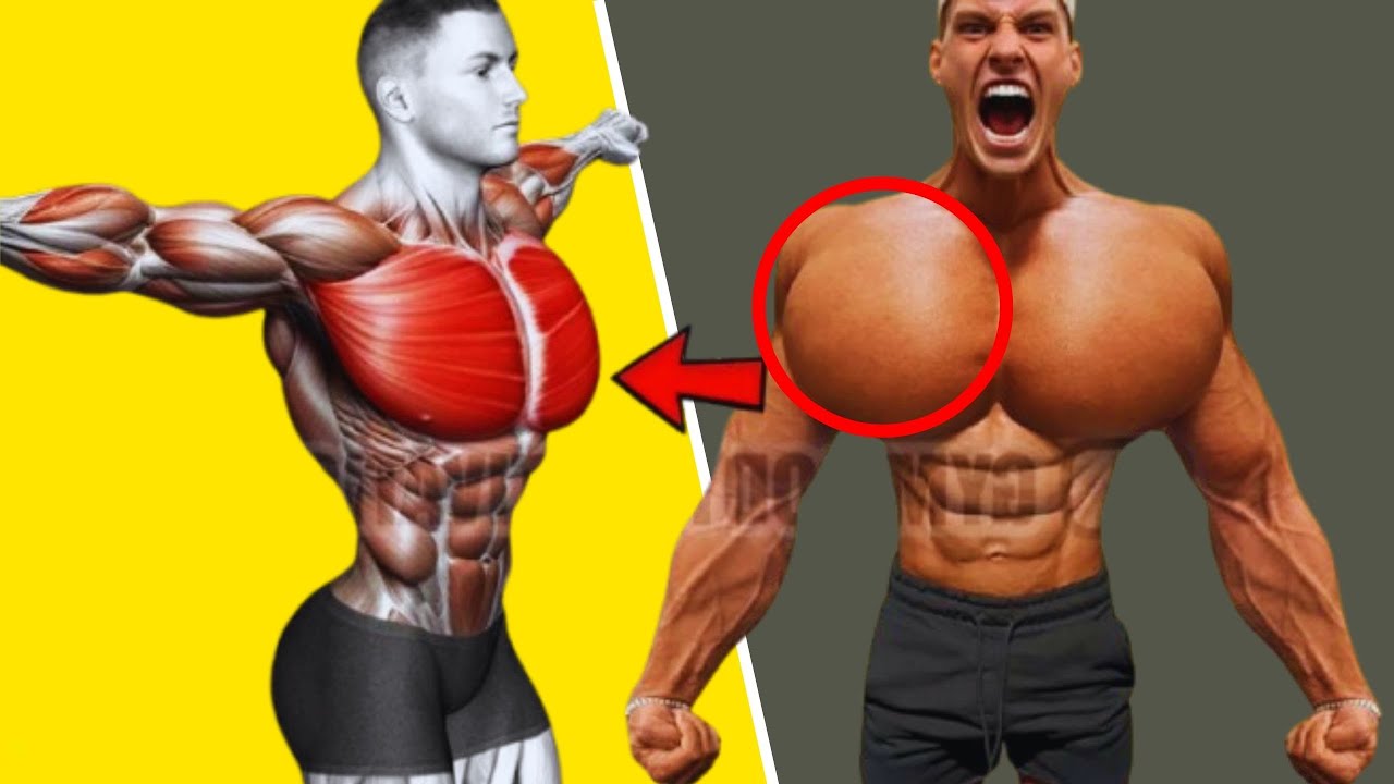 5 лучших упражнений с гантелями для груди, которые помогут быстро накачать большие грудные мышцы ...