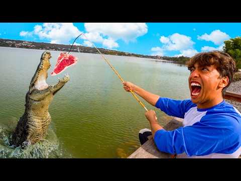 The first one to find the alligator wins!