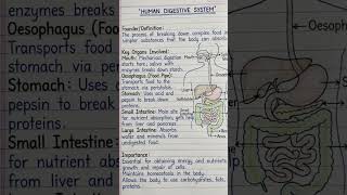 Human Digestive system Human Anatomy &amp; Physiology #subscribed #youtubeshorts #pharmecy