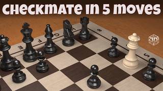 How To Checkmate in 5 Moves | Win Chess Game in 3D Animation