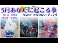 【5月の運勢🎏】ゴールデンな1ヶ月🤩タロット・オラクルで対人運・仕事運・金運・恋愛運などなど【タロット占い】