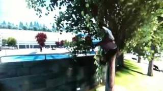 Skate 3 Tree Physics