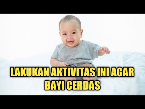 Video: Siap Mengenalkan Anjing Ke Bayi? 8 Tips Ini Akan Membantu