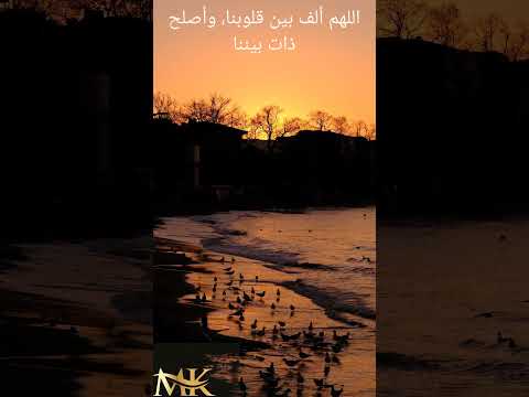 واعتصموا بحبل الله جميعا ولا تفرقوا