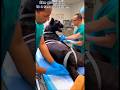 Part 2...Doctors Help a Black Panther Give Birth – The Ending Is Beautiful #leopard #rescue #love