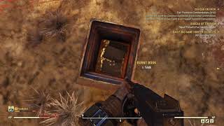 The Alien Blaster in Fallout 76
