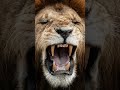 Mes 10 Photos Favorite Du Kenya En 2024 рџ ёрџ Ѓ Mes 10 Photos Favorite Du Kenya En 2024 рџ ёрџ Ѓ