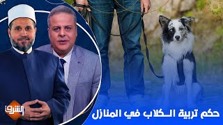 حكم تربية الكلاب في المنازل.. مع الدكتور سلامة عبد القوي