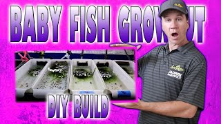 Most Genius System for Raising Baby Fish DIY step by Step Build : Designed By Master Breeder Dean