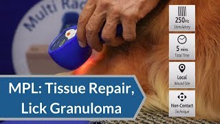 Laser Therapy Protocol: Tissue Repair and Lick Granuloma | My Pet Laser