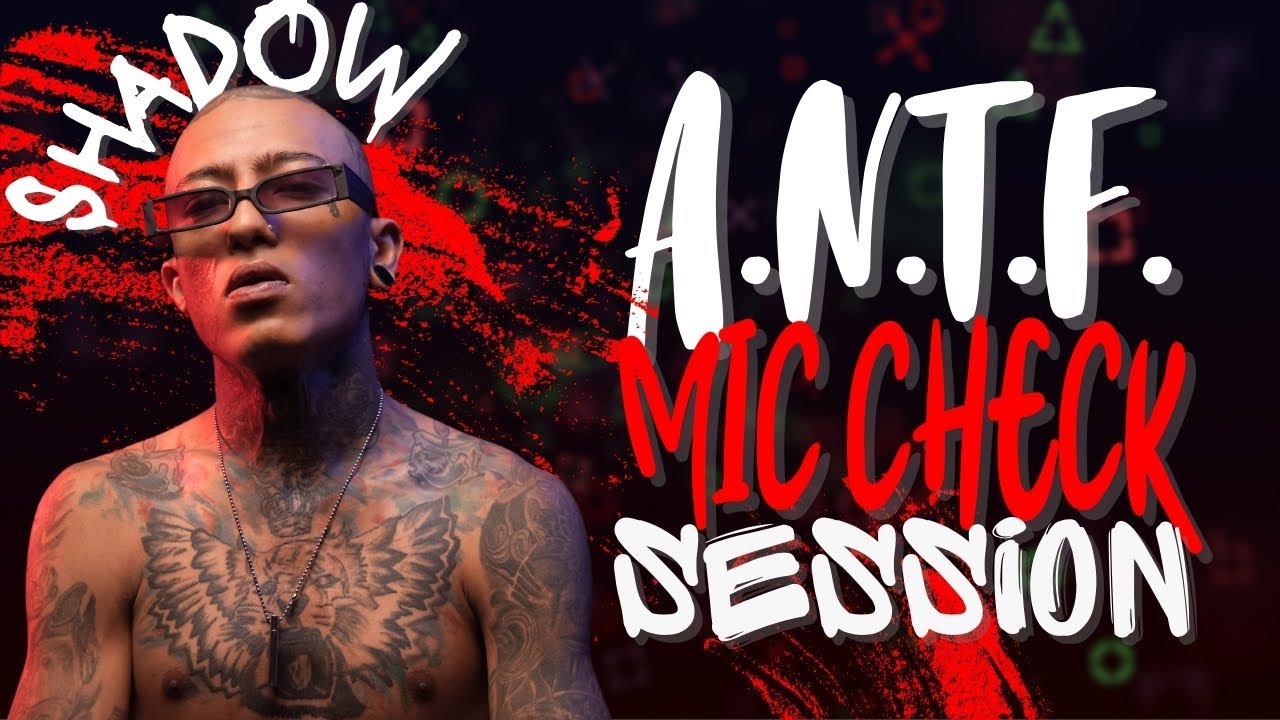 SHADOW MICCHECK ROUND4 TOP 8 ANTF - YouTube