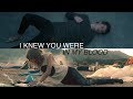 Taylor Swift &amp; Shawn Mendes - I Knew You Were In My Blood (Mashup/Video)