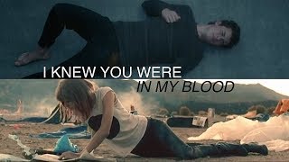 Taylor Swift &amp; Shawn Mendes - I Knew You Were In My Blood (Mashup/Video)