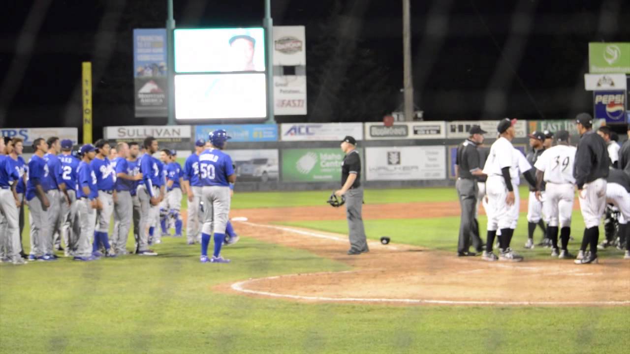 Baseball Bench Clearing Brawl Chukars Vs Raptors Standard Net