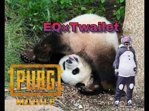 ИГРАЮ С Black-White ПАНДОЙ🐼🐼🐼