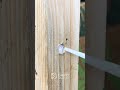 The Solution for a Hole That’s Too Deep#DeepHole#DIYSolution#ConstructionHack