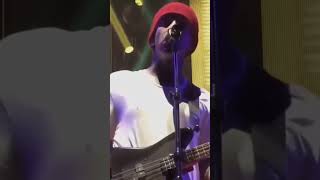 Twentynepilts Stressed ut  Vs Studio Good Singer