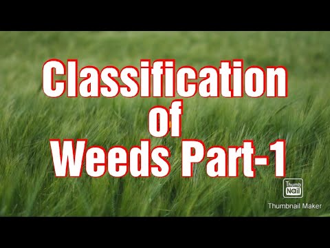 Classification of Weeds | Based on life span | Annual, Biennial,  Perennial | Part-1