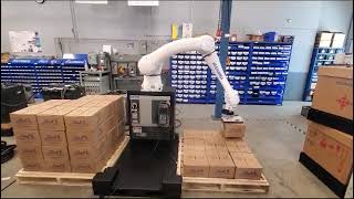 CAM Robot Palletizer Machine